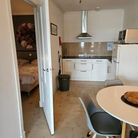 Apartment Eva Rosa Wijk aan Zee